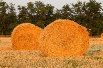 Summer Farm Scenery with Haystack.