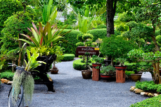 Bonsai garden in botanical park