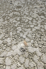 Dry Soil