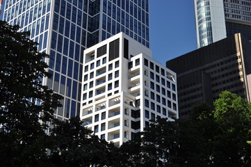 Obraz premium Hochhäuser in Frankfurt
