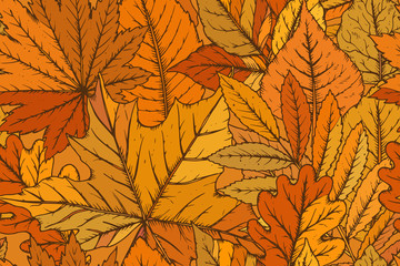 Vector seamless pattern with highly detailed hand drawn leaves.