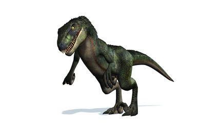 velociraptor dinosaurs - isolated on white background