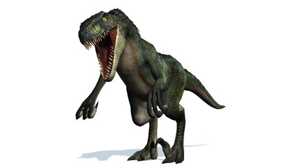 Fototapeta premium velociraptor dinosaurs - isolated on white background