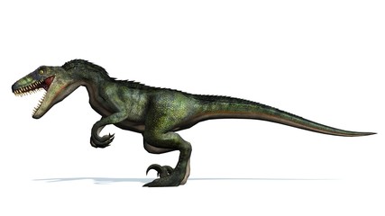 velociraptor dinosaurs - isolated on white background