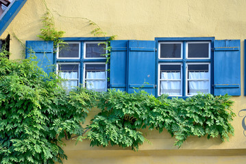 Blaue Fenster in gelber Wand, Dinkelsbühl