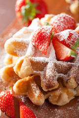 belgian waffles with icing sugar and strawberry