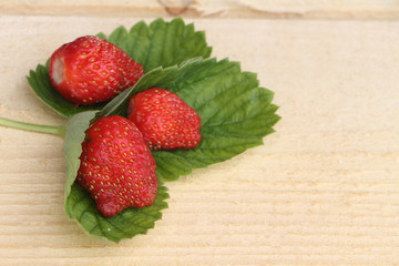 The ripe berries of strawberry lying on a support from a tree in a garden

