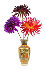 dahlias in a vase on a white background