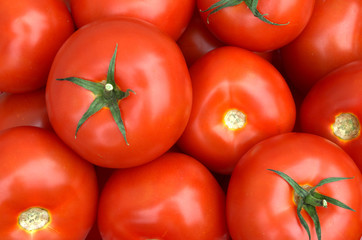 Pomidory 