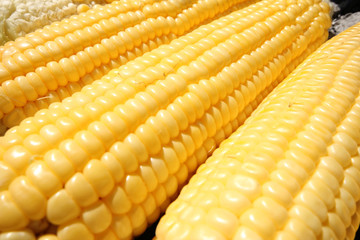 Corn