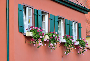 Fototapeta na wymiar Dinkelsbühl - Vier Fenster mit Blumenschmuck in roter Wand