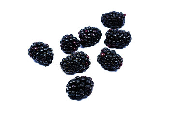 blackberry isolated on white background