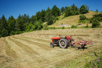 Fototapeta premium Old tracktor on the field with dry hay, Serbia