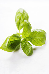 basil leaves