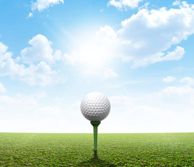 Plain Grass And Blue Sky