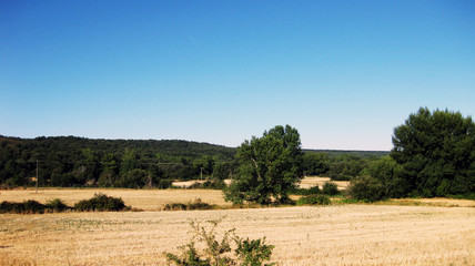 Fototapeta na wymiar Paisajes rurales.