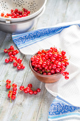 fresh red currants in brown clay piala and metal colander, berry