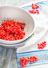 fresh red currants in  metal colander, summer berry, selective f