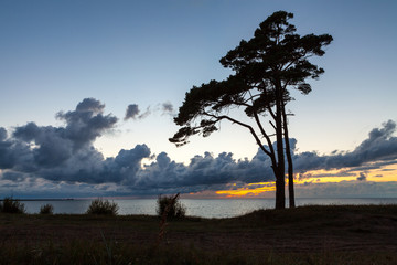 Baltic coast at sunset