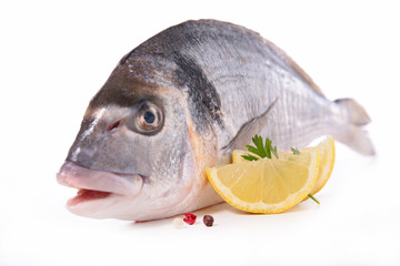 dorado fish