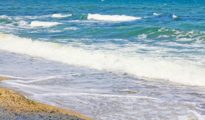 The Black Sea mussels and basil