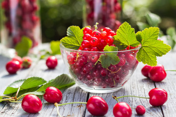 Freshly picked fruits currants cherries table