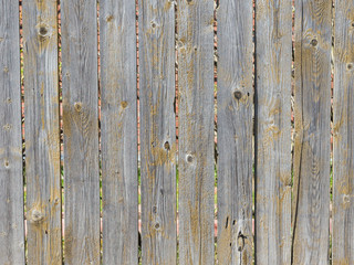 old fence boards