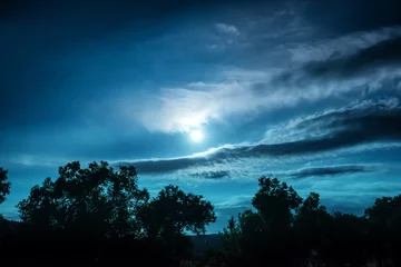 Deurstickers Volle maan nacht in het bos © Pavlo Vakhrushev