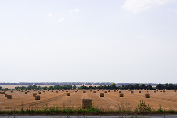 Obraz premium bales of straw
