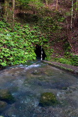 愛媛県　観音水　最奥