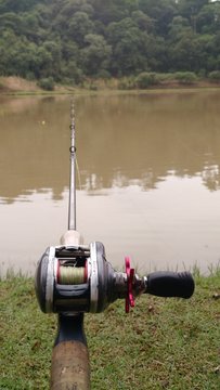 Pescando no lago numa tarde