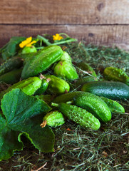  cucumbers