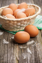 Fresh organic eggs