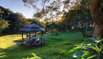 Aire de pique nique en forêt tropicale.