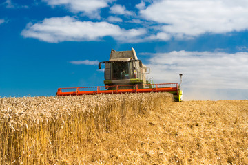 Fototapeta na wymiar Combine harvester at wheat harvest - 2859