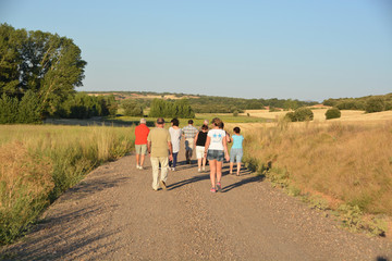 caminando por el campo en verano