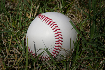 Baseball on grass