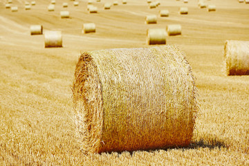 Straw bales