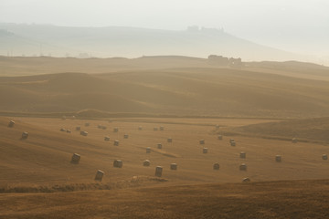 Obraz premium Tuscan fields at sunrise