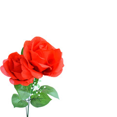 Artificial red roses isolated on white background