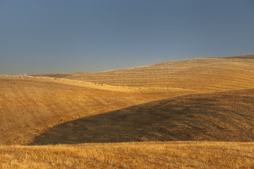 Fototapeta na wymiar Tuscan fields at sunrise