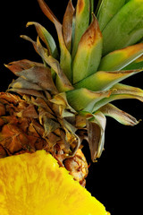 Pineapple 27
