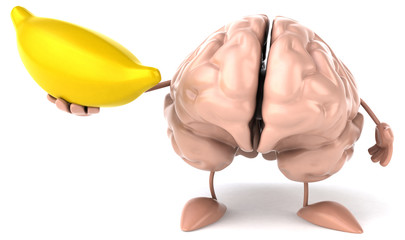 Fun brain