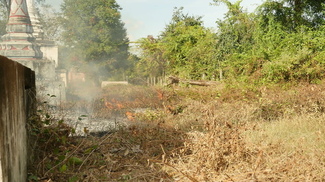 Burning off dry grass to prepare land for future use