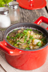 saucepan of vegetable soup with lentils, close-up, vertical