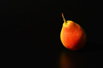pere coscia biologico