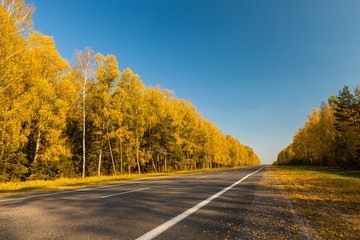 Fototapeta premium Autumn trip