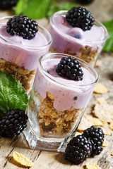 Homemade granola with yogurt and blackberry, healthy breakfast,