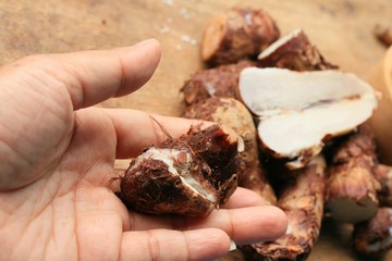 Taro on wood vintage