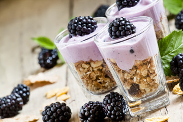 Homemade granola with yogurt and blackberry, healthy breakfast,